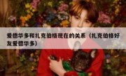 爱德华多和扎克伯格现在的关系（扎克伯格好友爱德华多）