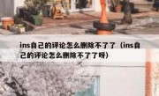 ins自己的评论怎么删除不了了（ins自己的评论怎么删除不了了呀）