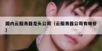 国内云服务器龙头公司（云服务器公司有哪些）