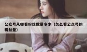 公众号从哪看粉丝数量多少（怎么看公众号的粉丝量）