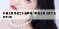 抖音上粉丝是怎么加的呀（抖音上粉丝是怎么加的呀）