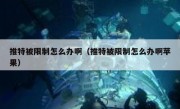 推特被限制怎么办啊（推特被限制怎么办啊苹果）
