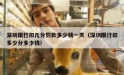 深圳限行扣几分罚款多少钱一天（深圳限行扣多少分多少钱）