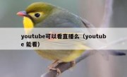 youtube可以看直播么（youtube 能看）