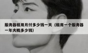 服务器租用月付多少钱一天（租用一个服务器一年大概多少钱）