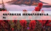 电动汽车购买流程（购买电动汽车需要什么条件）