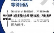 支付宝接口异常是什么原因引起的（支付宝接口错误）