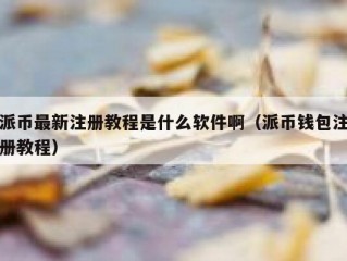 派币最新注册教程是什么软件啊（派币钱包注册教程）