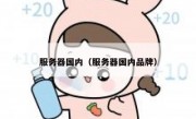 服务器国内（服务器国内品牌）