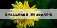 派币怎么注册流程图（派币注册有风险吗）