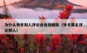 为什么快手别人评论会自动删除（快手莫名评论别人）