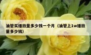 油管买播放量多少钱一个月（油管上1w播放量多少钱）