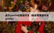 关于youth的英语作文（新高考英语作文youth）