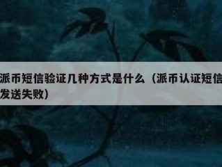 派币短信验证几种方式是什么（派币认证短信发送失败）
