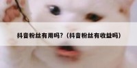 抖音粉丝有用吗?（抖音粉丝有收益吗）