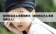推特粉丝怎么发展到两万（推特粉丝怎么发展到两万人）