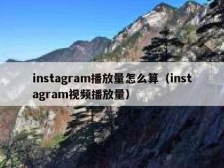 instagram播放量怎么算（instagram视频播放量）