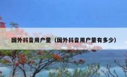 国外抖音用户量（国外抖音用户量有多少）