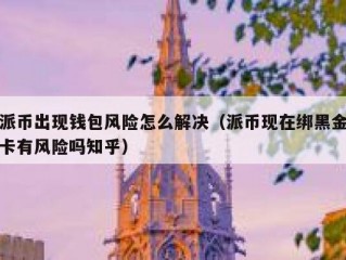 派币出现钱包风险怎么解决（派币现在绑黑金卡有风险吗知乎）
