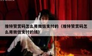 推特赞赏码怎么用微信支付的（推特赞赏码怎么用微信支付的钱）