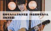 视频号为什么没有浏览量（微信视频号为什么没有浏览量）