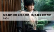 服务器的流量是什么意思（服务器流量太大怎么办）