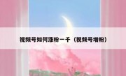 视频号如何涨粉一千（视频号增粉）