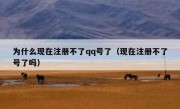 为什么现在注册不了qq号了（现在注册不了号了吗）