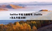 twitter不能注册账号（twitter怎么不能注册）