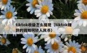 tiktok收益怎么提现（tiktok赚到的钱如何转人民币）