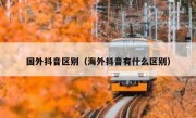 国外抖音区别（海外抖音有什么区别）