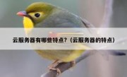 云服务器有哪些特点?（云服务器的特点）