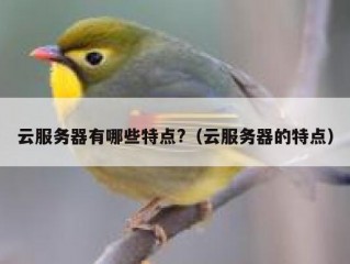 云服务器有哪些特点?（云服务器的特点）