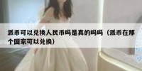 派币可以兑换人民币吗是真的吗吗（派币在那个国家可以兑换）