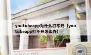 youtubeapp为什么打不开（youtubeapp打不开怎么办）