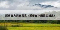 派币官方消息真实（派币在中国真实消息）