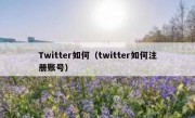 Twitter如何（twitter如何注册账号）