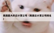 美国最大的云计算公司（美国云计算公司排名）