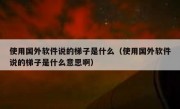 使用国外软件说的梯子是什么（使用国外软件说的梯子是什么意思啊）