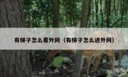 有梯子怎么看外网（有梯子怎么进外网）