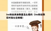 ins粉丝具体数量怎么看的（ins粉丝数实时变化在哪看）