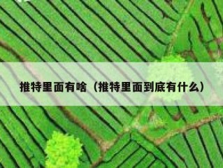 推特里面有啥（推特里面到底有什么）