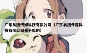 广东易搜传媒科技有限公司（广东易搜传媒科技有限公司是干嘛的）