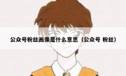 公众号粉丝画像是什么意思（公众号 粉丝）