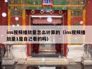 ins视频播放量怎么计算的（ins视频播放量1是自己看的吗）