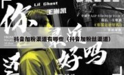 抖音加粉渠道有哪些（抖音加粉丝渠道）