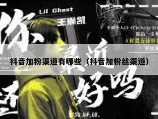 抖音加粉渠道有哪些（抖音加粉丝渠道）