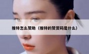 推特怎么赞助（推特的赞赏码是什么）