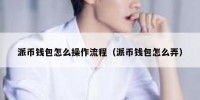 派币钱包怎么操作流程（派币钱包怎么弄）