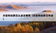 抖音粉丝群怎么进去聊天（抖音粉丝群怎样进）